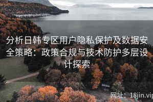 分析日韩专区用户隐私保护及数据安全策略：政策合规与技术防护多层设计探索