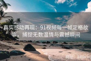 真实感动再现：91视频每一帧定格故事，捕捉无数温情与震撼瞬间