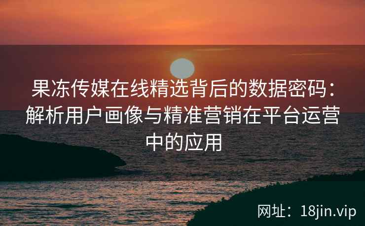 果冻传媒在线精选背后的数据密码：解析用户画像与精准营销在平台运营中的应用