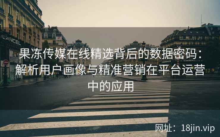 果冻传媒在线精选背后的数据密码：解析用户画像与精准营销在平台运营中的应用