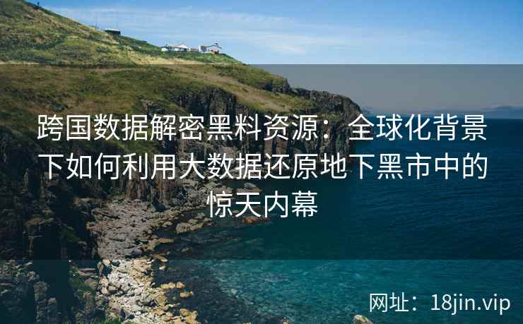 跨国数据解密黑料资源：全球化背景下如何利用大数据还原地下黑市中的惊天内幕