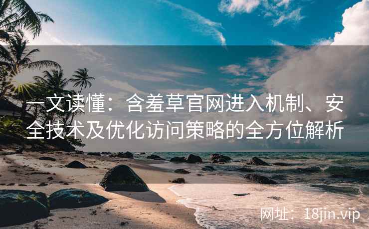 一文读懂：含羞草官网进入机制、安全技术及优化访问策略的全方位解析