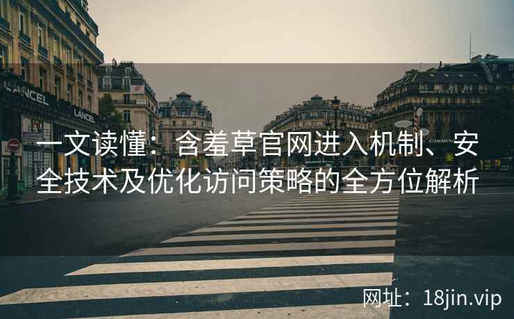 一文读懂：含羞草官网进入机制、安全技术及优化访问策略的全方位解析