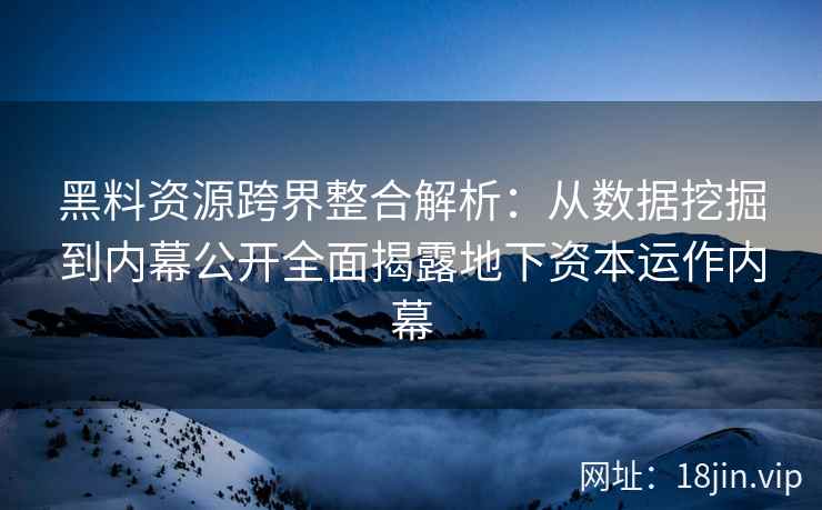 黑料资源跨界整合解析：从数据挖掘到内幕公开全面揭露地下资本运作内幕