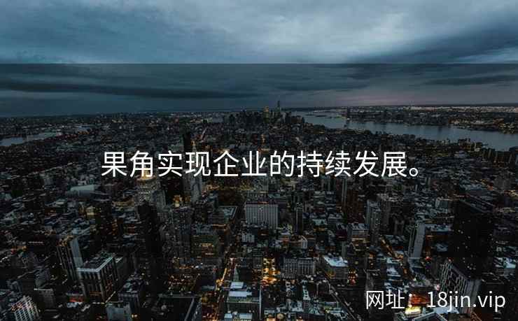 果角实现企业的持续发展。
