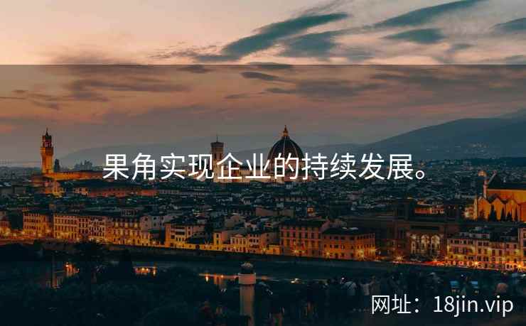 果角实现企业的持续发展。