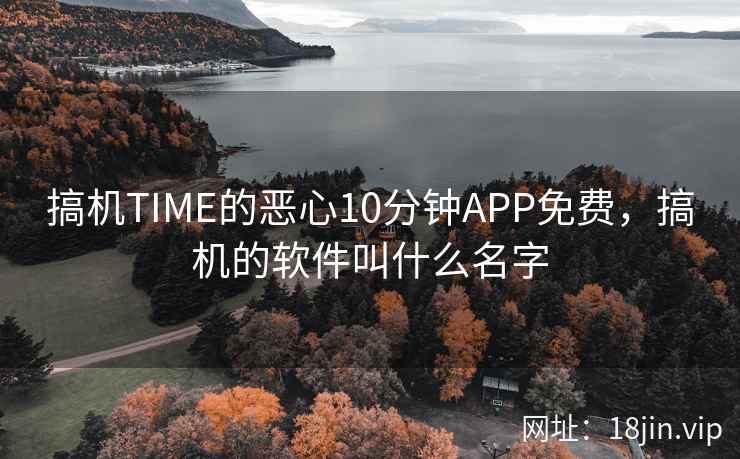 搞机TIME的恶心10分钟APP免费，搞机的软件叫什么名字