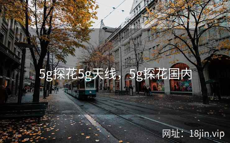 5g探花5g天线，5g探花国内