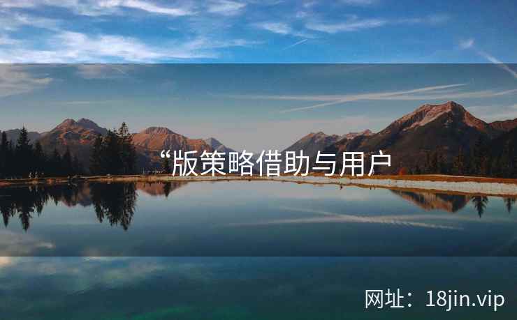“版策略借助与用户